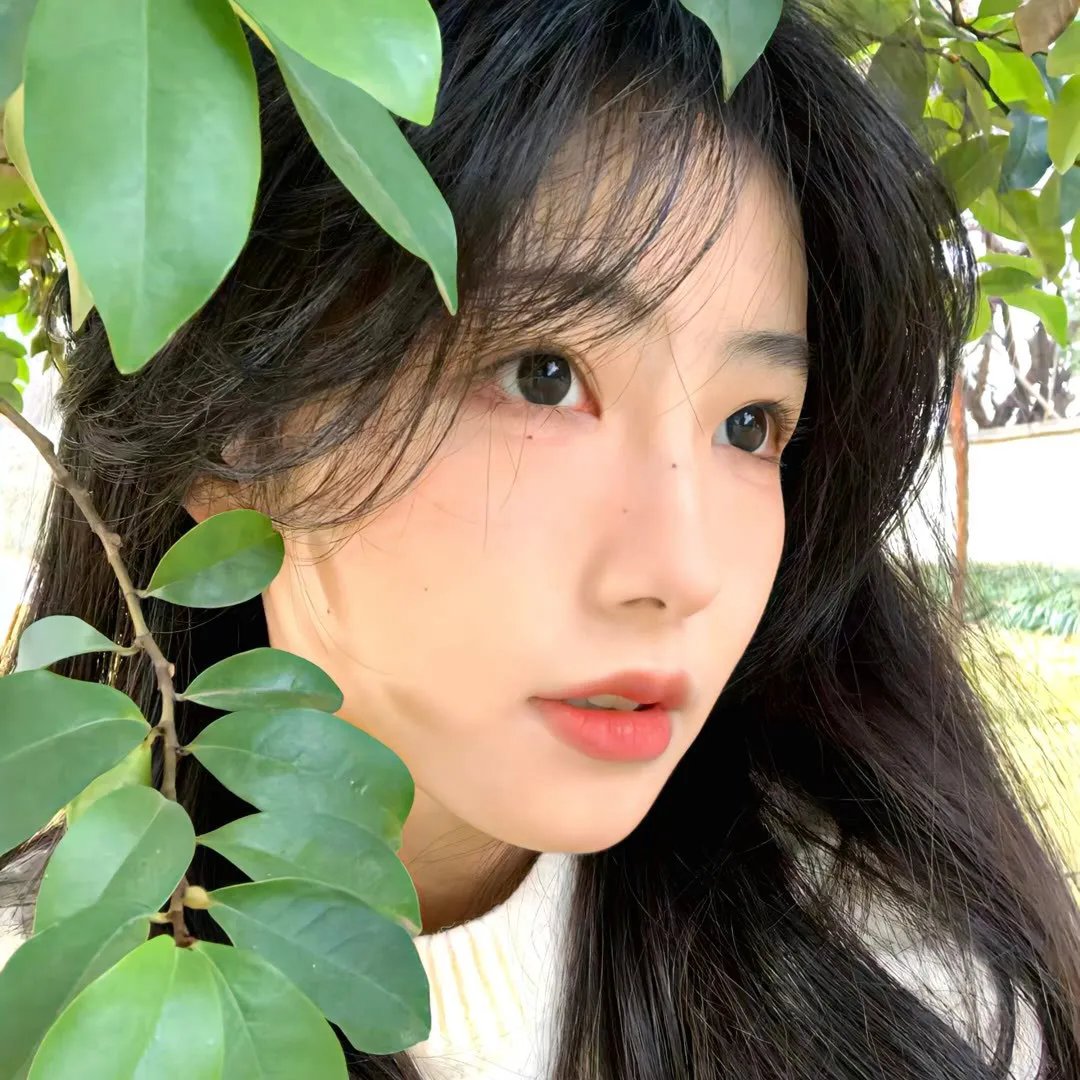 面纱之下海报